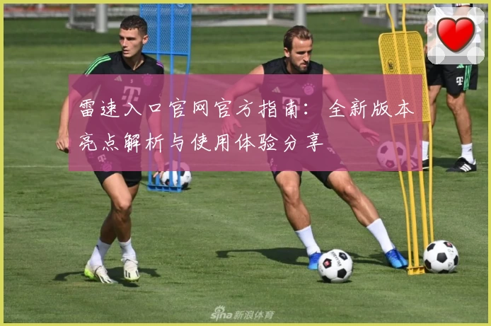 雷速入口官网官方指南：全新版本亮点解析与使用体验分享