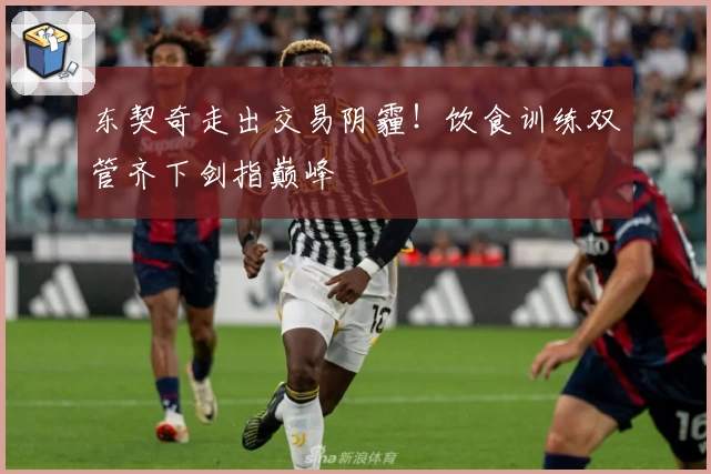 东契奇走出交易阴霾!饮食训练双管齐下剑指巅峰